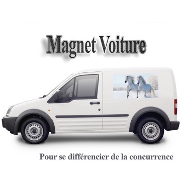 Publicité magnétique pour voiture